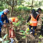 Aksi Biru Hijau di Hari Bumi 2026, Polisi dan Mahasiswa Balikpapan Bersatu Selamatkan Mangrove dari Ancaman Lingkungan
