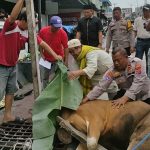 Polsek Balikpapan Utara Sembelih Hewan Kurban pada Iduladha 1447 Hijriah