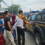 Balita Hilang Saat Bermain, Ditemukan Tak Bernyawa di Bawah Jembatan Selili