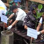 Tanam 2.026 Mangrove, Mendikdasmen, Pendidikan Didorong Jadi Garda Depan Selamatkan Lingkungan