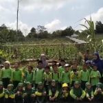 Wisata Edukasi Kebun Melon Sumber Berkah Jadi Sarana Belajar Pertanian bagi Pelajar di Balikpapan