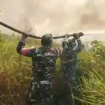 Karhutla Kaltim Makin Mengganas, 752 Hektare Lahan Terbakar, 273 Kejadian Tercatat