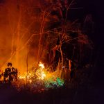 Kebakaran Lahan 3 Hektare di Manggar Baru, Polisi dan Warga Berjibaku Padamkan Api