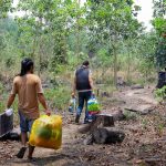 Otorita IKN Fasilitasi Warga Tinggalkan Tahura Bukit Soeharto Secara Sukarela