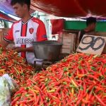 Kemarau, Harga Cabai Rawit Semakin Pedas