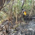 Sinergi TNI-Polri dan Warga Berhasil Kendalikan Karhutla di Muara Komam
